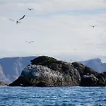 Hotel The Tide - Rorbuer 3*