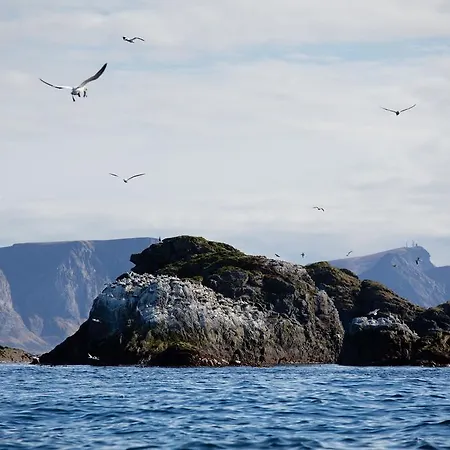 Otel The Tide - Rorbuer 3*